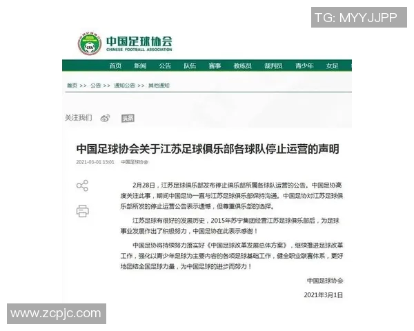 中国足球俱乐部最新排名分析与发展趋势探讨